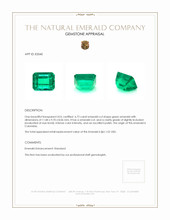 6.72 Ct. Emerald from Colombia Appraisal