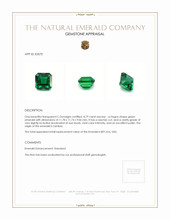 8.79 Ct. Emerald from Zambia Appraisal