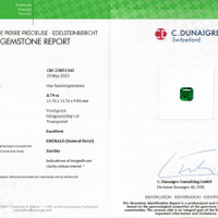 8.79 Ct. Emerald from Zambia Scan Report