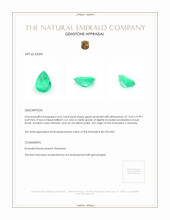 4.62 Ct. Emerald from Colombia Appraisal