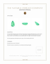 3.23 Ct. Emerald from Colombia Appraisal