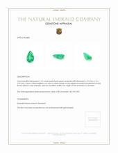 1.22 Ct. Emerald from Colombia Appraisal