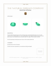 Jewelry Appraisal