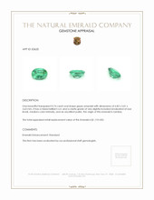 0.74 Ct. Emerald from Zambia Appraisal
