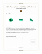 Jewelry Appraisal
