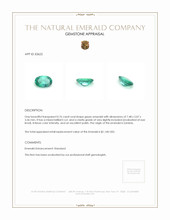 0.76 Ct. Emerald from Zambia Appraisal
