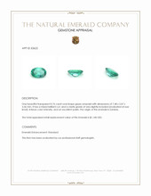 0.76 Ct. Emerald from Zambia Appraisal