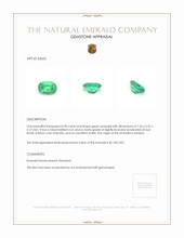 0.90 Ct. Emerald from Zambia Appraisal