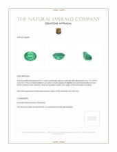 0.72 Ct. Emerald from Zambia Appraisal