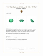 0.72 Ct. Emerald from Zambia Appraisal