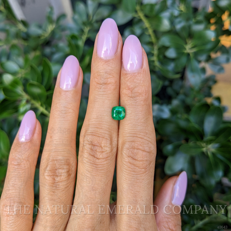 0.96 Ct. Emerald from Zambia