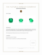 0.57 Ct. Emerald from Zambia Appraisal