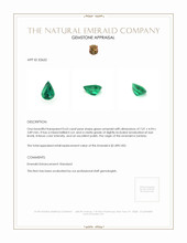 0.63 Ct. Emerald from Zambia Appraisal