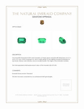 0.89 Ct. Emerald from Zambia Appraisal