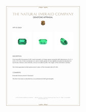 0.89 Ct. Emerald from Zambia Appraisal