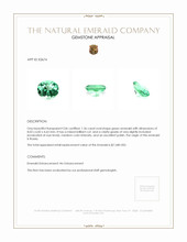 1.36 Ct. Emerald from Russia Appraisal