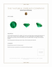 6.69 Ct. Emerald from Zambia Appraisal