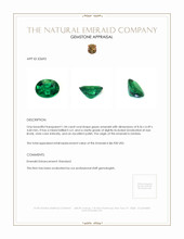 1.44 Ct. Emerald from Zambia Appraisal