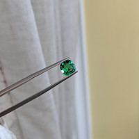 1.04 Ct. Emerald from Zambia Life Style