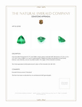 0.79 Ct. Emerald from Zambia Appraisal