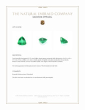 0.79 Ct. Emerald from Zambia Appraisal