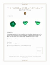 1.68 Ct. Emerald from Zambia Appraisal