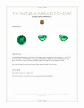 1.68 Ct. Emerald from Zambia Appraisal