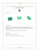3.53 Ct. Emerald from Russia Appraisal