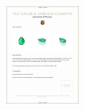 4.01 Ct. Emerald from Brazil Appraisal