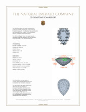 Jewelry 3 D Scan Report