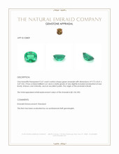 Jewelry Appraisal
