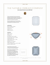 Jewelry 3 D Scan Report