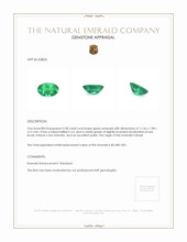 2.58 Ct. Emerald from Brazil Appraisal