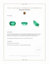 0.47 Ct. Emerald from Zambia Appraisal