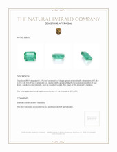 1.19 Ct. Emerald from Zambia Appraisal