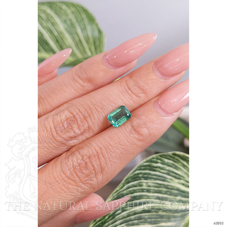 Loose Emerald - Emerald Cut 1.58 Ct. - #E3893 | The Natural Emerald Company