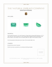 1.69 Ct. Emerald from Zambia Appraisal