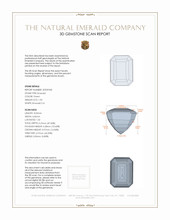 Jewelry 3 D Scan Report