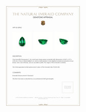 1.46 Ct. Emerald from Zambia Appraisal