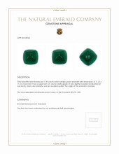 7.34 Ct. Emerald from Zambia Appraisal