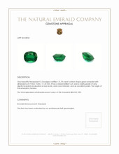 21.78 Ct. Emerald from Zambia Appraisal