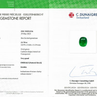 21.78 Ct. Emerald from Zambia Scan Report