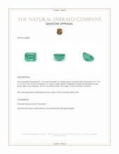 1.18 Ct. Emerald from Zambia Appraisal