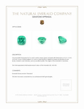 0.76 Ct. Emerald from Colombia Appraisal