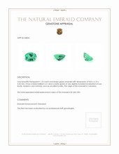 1.23 Ct. Emerald from Colombia Appraisal