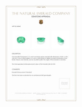1.51 Ct. Emerald from Colombia Appraisal