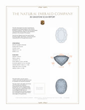 Jewelry 3 D Scan Report