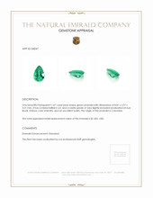 1.07 Ct. Emerald from Colombia Appraisal