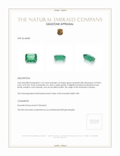 1.64 Ct. Emerald from Zambia Appraisal