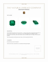 4.70 Ct. Emerald from Zambia Appraisal